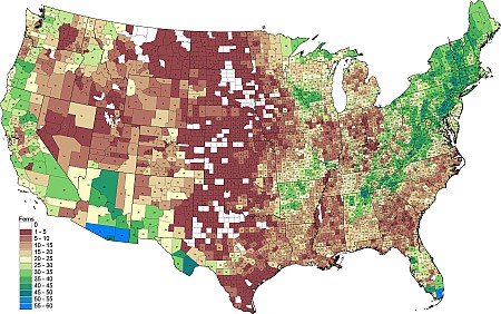 County_Ferns.png County_Ferns.png